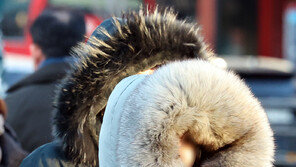 ‘한파 절정’ 오늘 아침 철원 영하 24도…주말까지 맹추위 전망