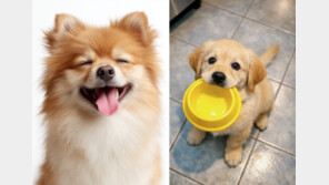 “술 냄새 풍기며 다가오면 적” 강아지가 싫어하는 사람 유형