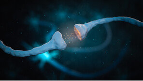 하버드 의사가 실천하는 ‘뇌 노화 늦추는 6가지 습관’ [노화설계]