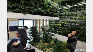 머리 위에도 초록빛 가득하네