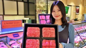 2만원 생활용품-2억원 오디오… 유통업계 설 선물 ‘이중전략’