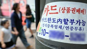 소액연체 갚은 292만명 ‘신용 사면’…“대출·카드발급 가능”