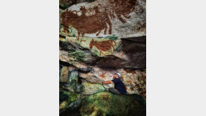 6만7800년전 동굴 벽화 발견