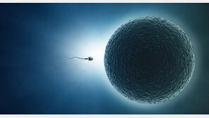 난임 치료 열쇠, 男女 몸속에서 찾았다