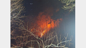 곡성 산불 13시간 만에 완진…산림 5㏊ 소실