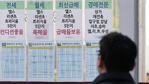 10·15 부동산 대책 시행 후 강남 등 25억 초과 아파트 거래량 감소