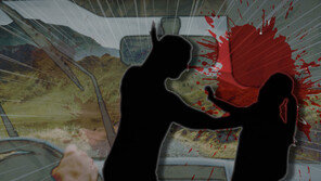 운전·주차 잘 해놓고 심신미약?…차량서 연인 때려 숨지게 한 40대 징역 5년