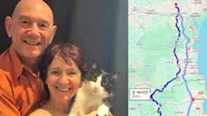 “주인 찾아 260km 국경 질주” 5개월 만에 고양이가 돌아와