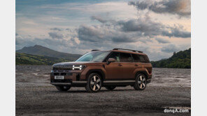 현대차그룹, 영국·미국서 연속 수상… ‘제품 경쟁력’ 글로벌 인정