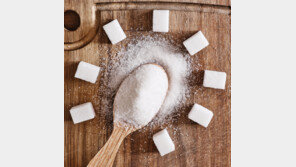 조미료를 다시 보다