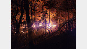 14시간 태운 부산 기장 산불, 발화점은 ‘무허가 공장’