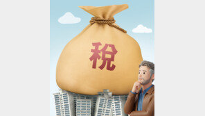 집값 잡으려 ‘갭투자 1주택’도 규제할듯… “매물 되레 줄것” 전망도