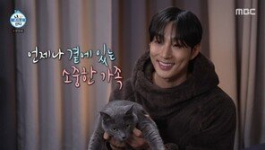 배나라 “유기묘 입양”…장롱 뚫어 캣타워까지 직접 제작