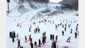 스키·스노보드 타다 ‘뚝’, 전방십자인대 파열…예방법은?