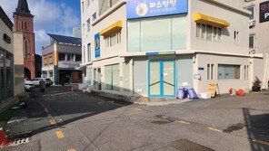 광주 유기견 입양센터 ‘피스멍멍’, 6개월 만에 방문객 3000명 넘어