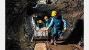 경찰 연행 뒤 행불… 70여 년 만에 유해로 돌아와