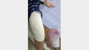 120kg 거구가 로킥…동탄 한 고교 전치6주 학폭 결국 소년부로