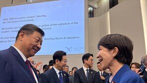 中정부 “춘제 연휴때 日 가지마라…중국인 대상 범죄 빈번”