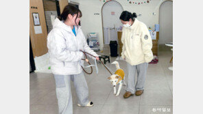 고향사랑기부로 유기견에 새 삶 선물