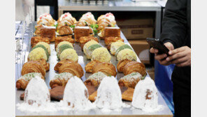 300억 땅 상속세 0원… 대형 ‘빵카페’ 편법 가업공제 조사