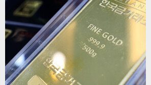 금값 온스당 5000달러 첫 돌파…그린란드에 달러 약세로 ‘광풍’