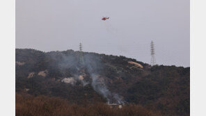 수락산 산불로 수암사 일부 전소…당국, 잔불 정리 중