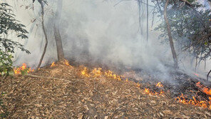 2월부터 산에서 담배 피면 과태료 최대 70만원
