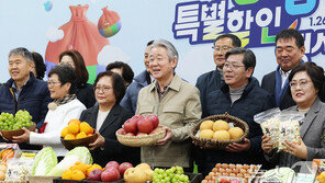 농협, 설 물가 잡기에 510억 투입…성수품·기름값·자재 ‘역대급 할인’