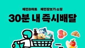 탈팡에 뜬 배민 ‘장보기·쇼핑’…12월 한달간 신규고객 30% 증가
