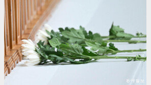 “장례식장 문화 도입 30년…유족 상처 치료하는 기능이 되어야”