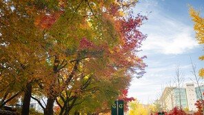  성균관대 SKK GSB MBA, 기금형 퇴직연금 포럼 개최