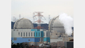 신규원전 건설 확정에 수출도 탄력…‘베트남 수주전’ 속도