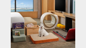 콘래드 서울, 반려견 동반 숙박 패키지 ‘2026 펫 메종’ 리뉴얼 출시 