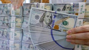 환율, 엔화 강세에 장중 1430원대까지 하락…추가 하락 가능성도