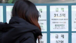 호가 낮춘 급매 나왔지만… 시장은 아직 ‘지켜보기’