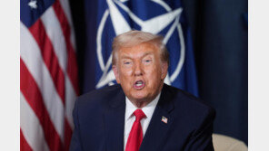 [속보]트럼프 “한국산 車-상호관세 25%로 인상…韓국회 비준 안해”