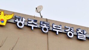 손님 가장해 금은방 2곳 털어 달아난 30대 구속