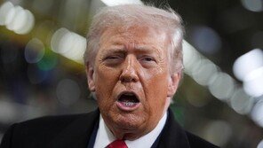 與 “대미투자법 통과시점 합의 없었다” vs 野 “李대통령 책임”