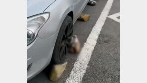 “차 대지마” 주차장 바닥에 본드로 돌 붙인 황당 주민 [e글e글]