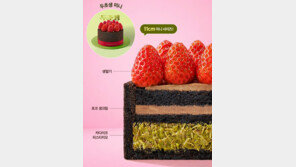 5분 만에 완판…접속자 13만 명 몰린 투썸 ‘두초생 미니‘ 