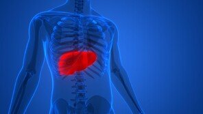 ‘침묵의 장기’ 간 기능 저하, 혈액 속 알부민 수치가 알려준다