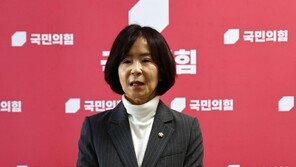국힘 “대미투자특별법, 국회 비준 우선돼야…그렇지 않으면 돈 나갈 수 없어”