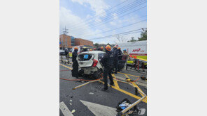 청주 역주행 사고로 3명 숨지게 한 70대 금고형