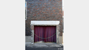 [고양이 눈]커튼 뒤에는?