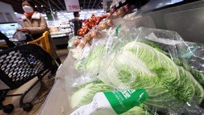 배추·사과 설 명절 주요 성수품 최대 50% 싸게 판매