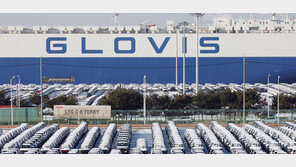 ‘15%→25%’ 관세땐 현대차-기아 합쳐 年5조 타격… 의약품도 불똥