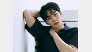 차은우, ‘국세청장 출신 고문’ 둔 로펌 찾았다…“전관예우 노린 것” 싸늘