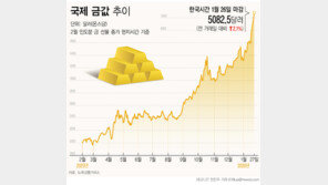 금값·은값 폭등에도…한은, 13년째 매입 ‘신중론’