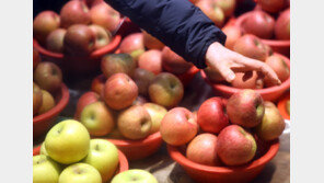 설 물가 공격적으로 잡는다…성수품 27만t 공급·반값 할인 910억