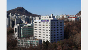 서울 국공립 유치원·초등·특수학교 교사 295명 합격…남교사 11%